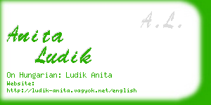 anita ludik business card